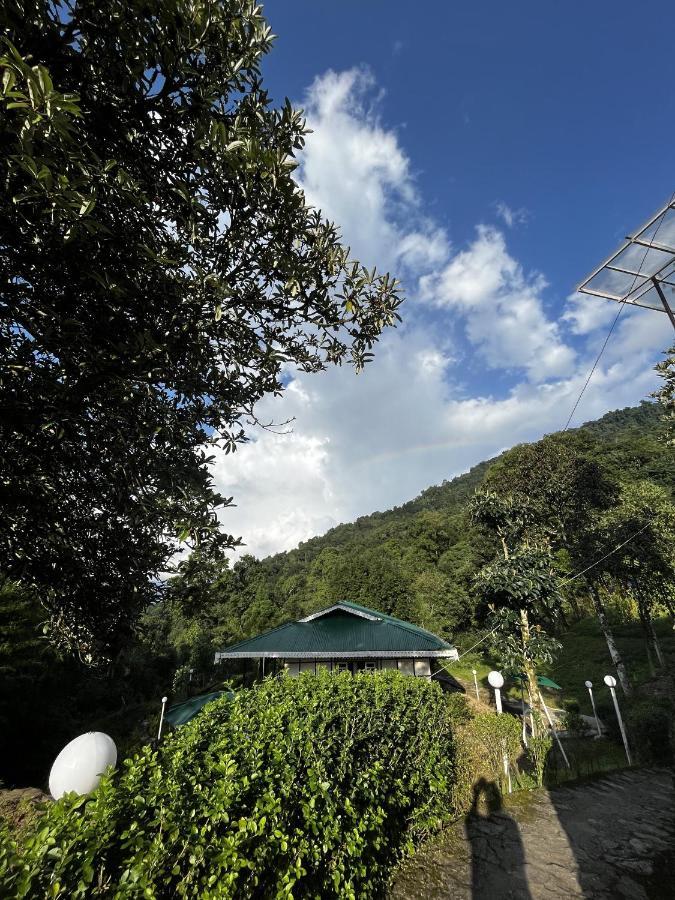 The Nettle And Fern Farmstay Pelling Eksteriør bilde